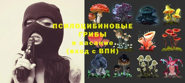 мяу мяу мука Заволжск