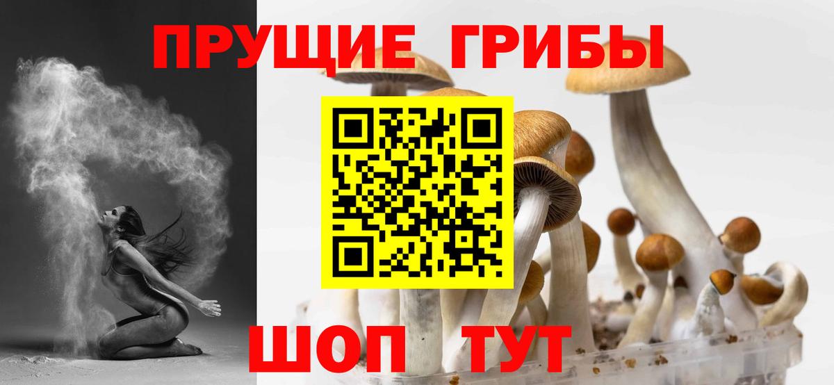 наркошоп  Вход с VPN  Кыштым  Псилоцибиновые грибы Psilocybine cubensis 